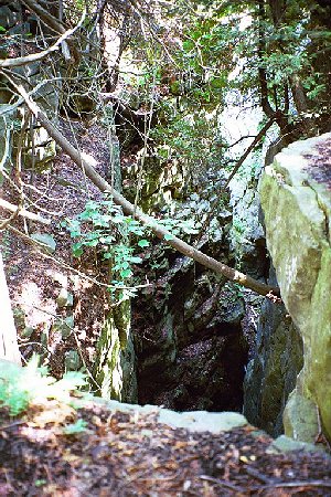 One of many deep fissures along the escarpment edge