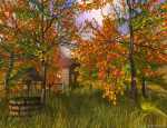 Autumn Colors Part 2