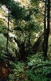 La Cloche Silouette trail